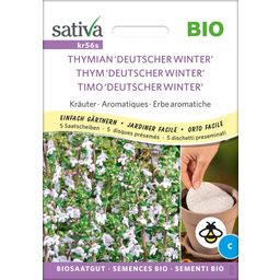 Herbes Aromatiques Bio "Thym 'Deutscher Winter' " | Disques Présemés
