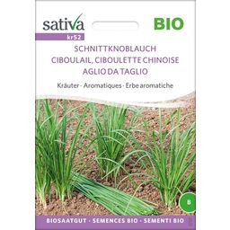 Sativa Organic Garlic Chives - 1 Pkg