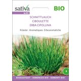 Sativa Herbes Aromatiques Bio "Ciboulette"