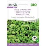 Sativa Bio Kräuter "Rucola, Mehrjährig"