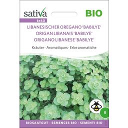 Herbes Aromatiques Bio "Origan Libanais 'Babilye' "