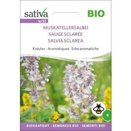 Sativa Erbe Aromatiche - Salvia Sclarea Bio