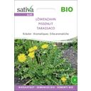 Sativa Biologische Kruiden Paardebloem - 1 Verpakking