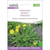 Sativa Bio bylinky "Púpava lekárska"