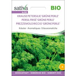 Herbes Aromatiques Bio "Persil Frisé 'Grüne Perle' "