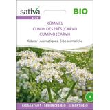 Sativa Erbe Aromatiche - Cumino dei Prati Bio