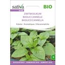 Sativa Organic Cinnamon Basil - 1 Pkg
