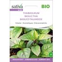 Sativa Bio bazalka thajská - 1 bal.