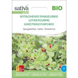 Sativa Organic "Red Blooming Asparagus Bean"