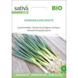 "Ishikura Long White" Organic Spring Onion Seeds