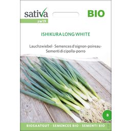 Ekološko seme spomladanske čebule "Ishikura Long White"