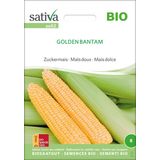 Sativa Biologische Suikermaïs "Golden Bantam"