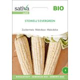Biologische Suikermaïs “Stowell’s Evergreen”