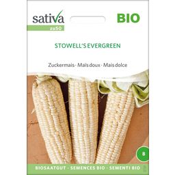 Sativa "Stowell's Evergreen" Organic Sweetcorn