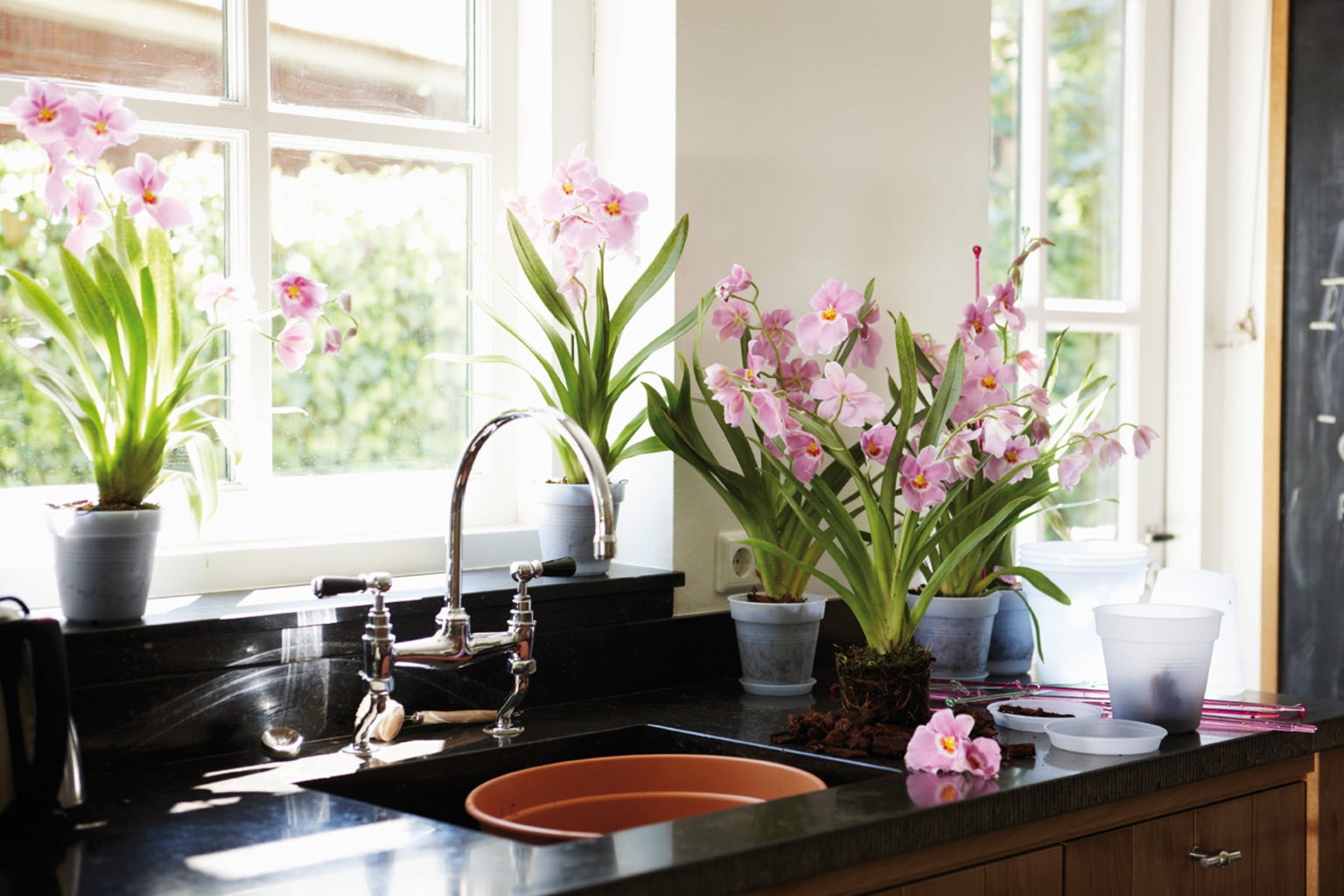 elho green basics Orchid | Transparent - 13 cm