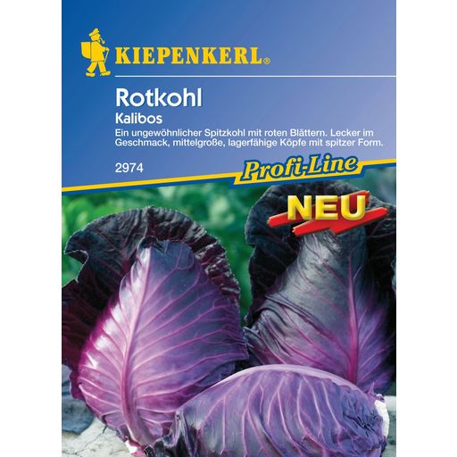 Kiepenkerl Red Cabbage 