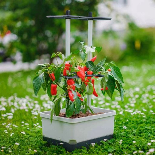 Gusta Garden Charly Chili Plantenpot - lichtgrijs