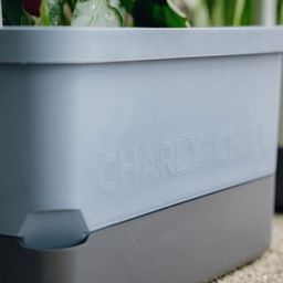 Gusta Garden Charly Chili - Pflanztopf - blau
