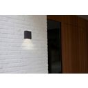 Lutec Lamps Gemini xf LED Outdoor Wall Light 4000K - 1 item