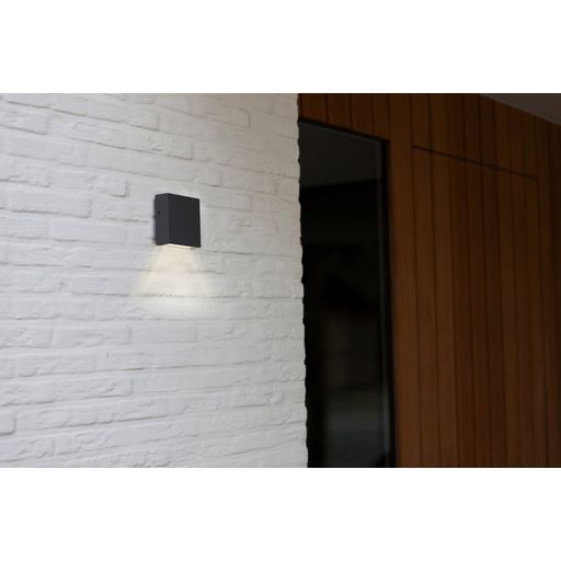 Lutec Lamps Gemini xf LED Outdoor Wall Light 4000K - 1 item