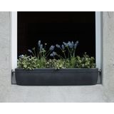 Okensko korito - cvetlična škatla "Windowgreen"