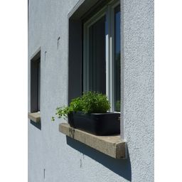 rephorm Vensterbank Bloembak “Windowgreen” - Grafiet (antraciet)