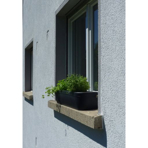 rephorm Vaso per Davanzale - Windowgreen - grafite (antracite)