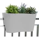 rephorm 'Steckling Duo' Balcony Railing Planter - white