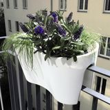 rephorm 'Steckling Duo' Balcony Railing Planter