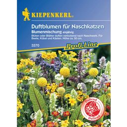 Kiepenkerl Sweet Scented Flowers - 1 Pkg