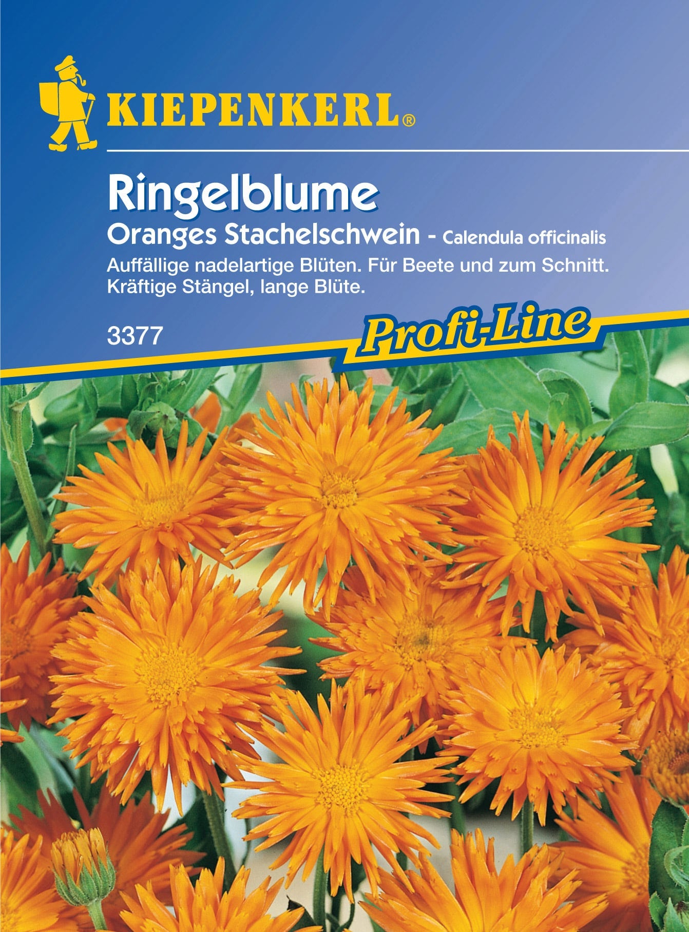 Kiepenkerl Ringelblume 