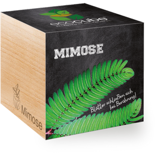 Feel Green ecocube - Mimosa - 1 pz.
