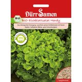 Dürr Samen BIO "Hardy" tölgylevelű saláta zöld