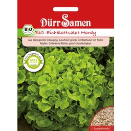 Dürr Samen Hardy Green Organic Oakleaf Salad - 1 Pkg