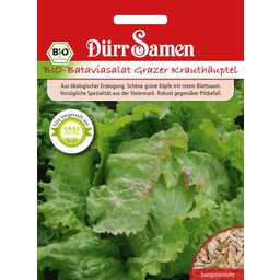 Grazer Krauthäuptel Organic Batavia Salad - 1 Pkg