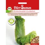 Dürr Samen Sugar Loaf Organic Chicory Salad
