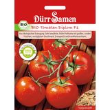 Dürr Samen Diploma Organic Tomato
