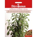 Dürr Samen Stévie sladká - 1 balení