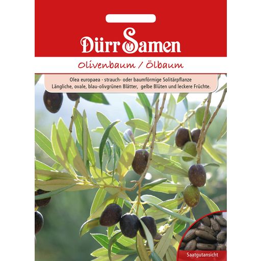 Dürr Samen Olive Tree - 1 Pkg