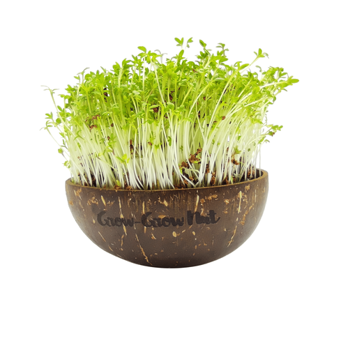 Grow-Grow Nut Ricarica Microgreens - The Micro Greens - 1 set