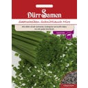 Dürr Samen Chive Seed Discs - 1 Pkg