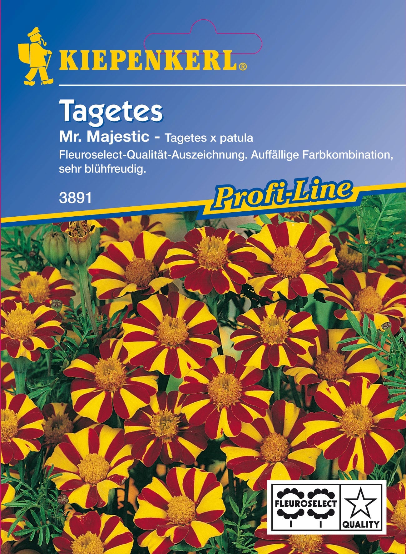Kiepenkerl Tagetes 