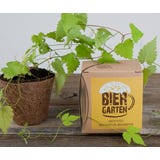 naturkraftwerk Kit de Cultivo "Biergarten"
