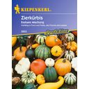 Kiepenkerl Edible Decorative Squash Mix - 1 Pkg