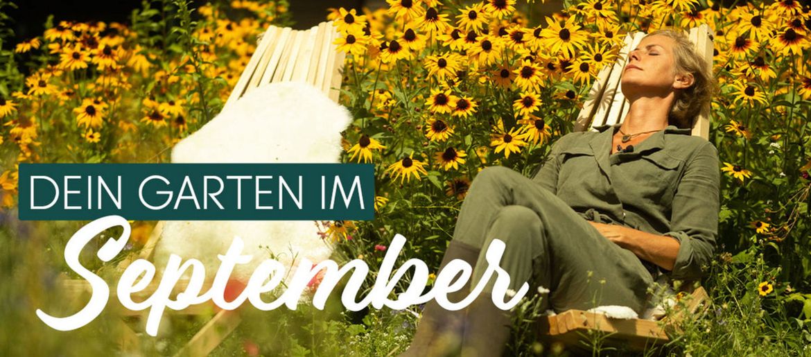 September - die Ernte ist in vollem Gange