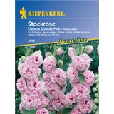 Kiepenkerl Stockros "Chaters Double Pink"