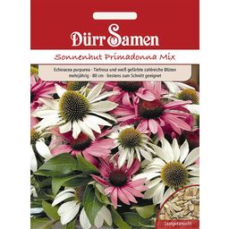 Dürr Samen Echinacea Primadonna Mix - 1 Verpakking