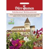 Dürr Samen Reichenau cvetoče poletje