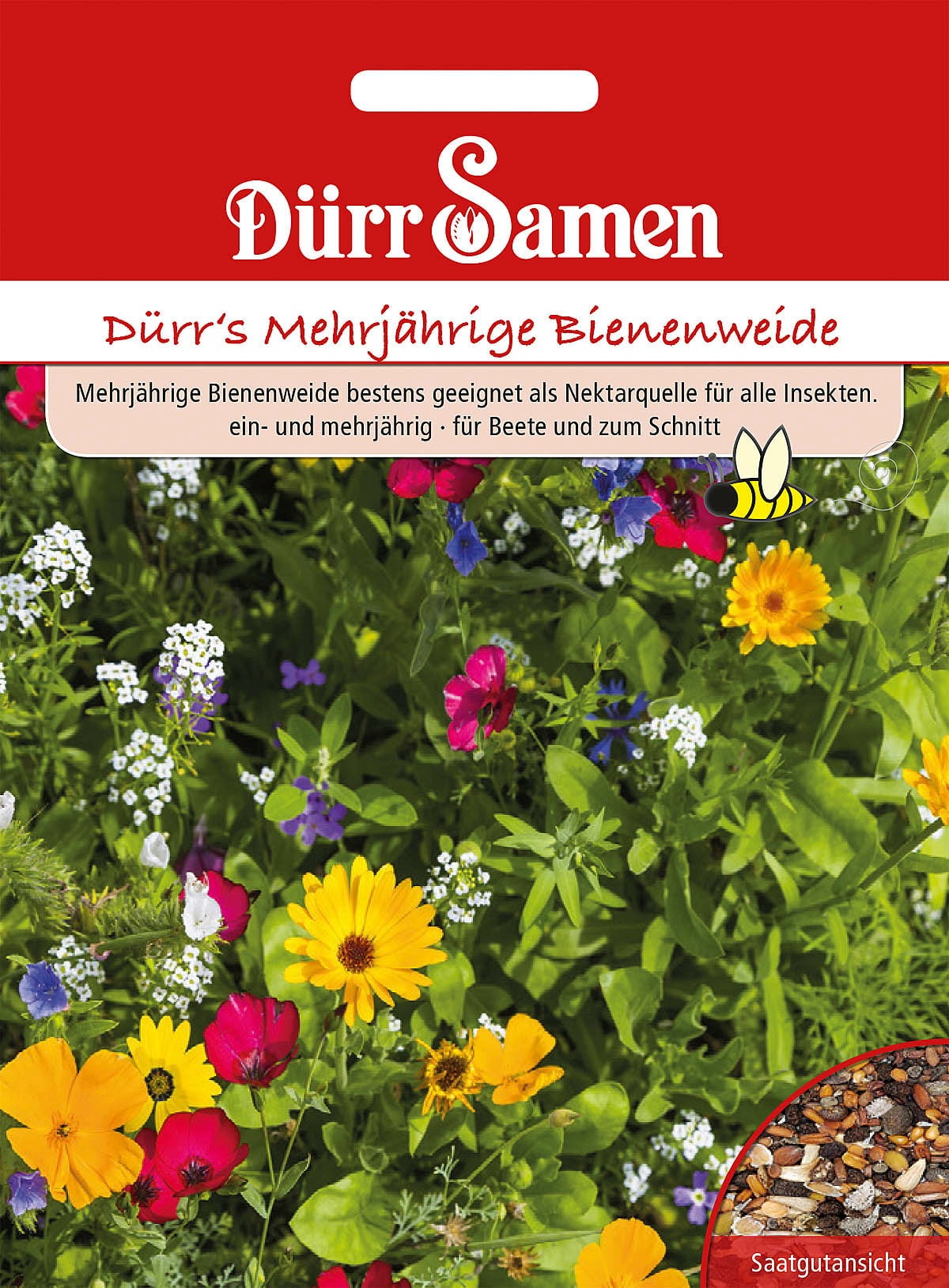 Dürr's mehrjährige Bienen- und Hummelweide