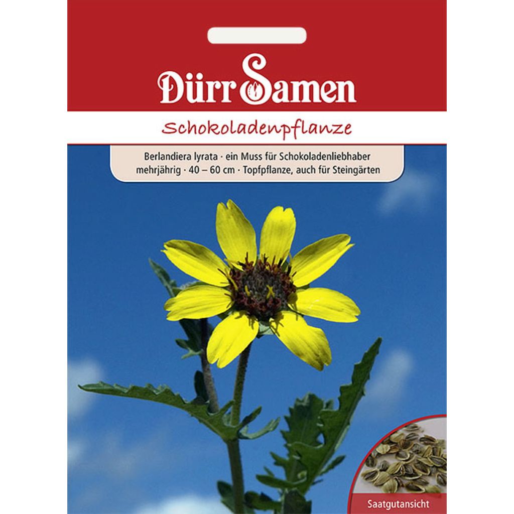 Dürr Samen Schokoladenpflanze, 1 Packung - Bloomling Schweiz